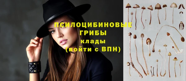 spice Верхний Тагил