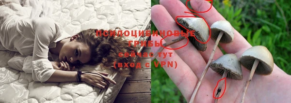 соль курить ск Верея
