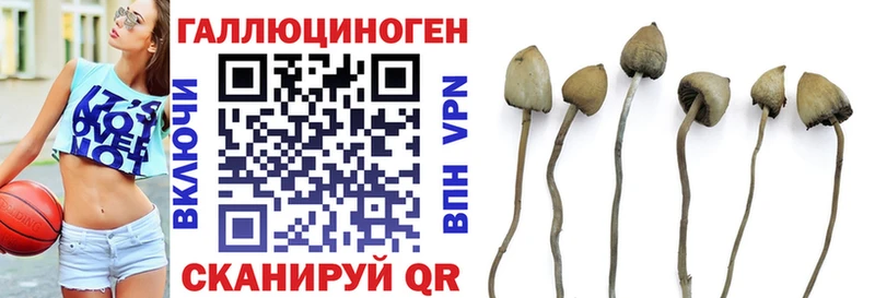 Купить где  Ревда  Псилоцибиновые грибы MAGIC MUSHROOMS 